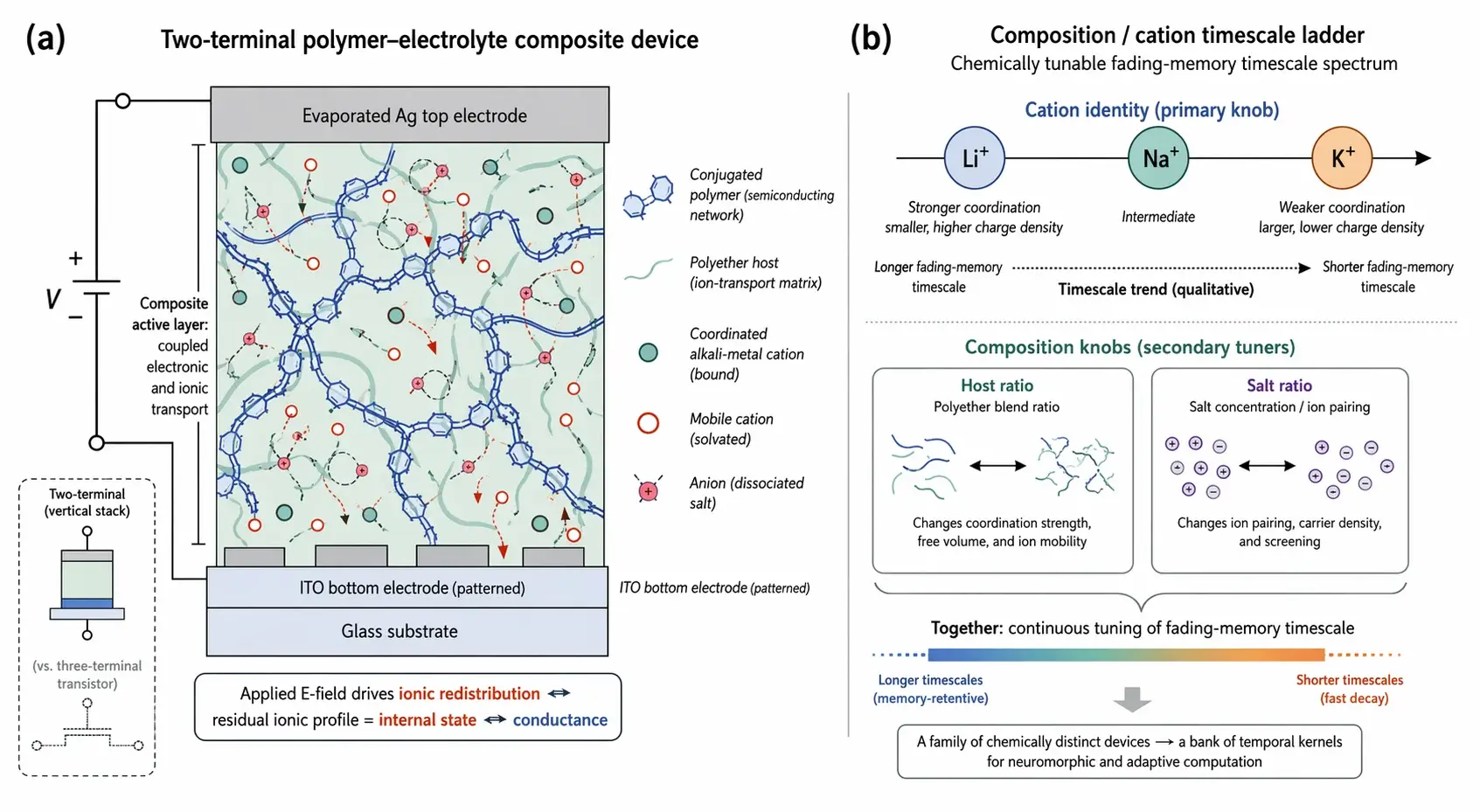 Scientific diagram of a polymer-electrolyte memristor and its chemically tunable fading-memory timescale